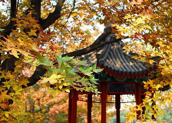 Autumn in Beijing Tour