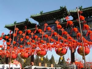 6-Day Beijing Chinese New Year Tour