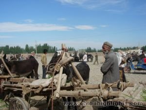 Silk Road to Tibet Explorer Trip